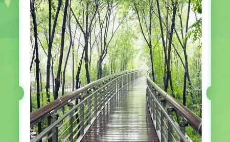 不可辜負(fù)的美，與春天有個約會